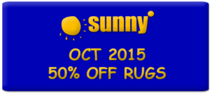 Sunny - dry cleaning laundry special offer OCT 2015